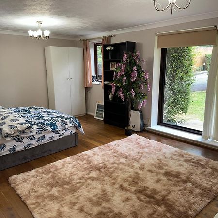 Stunning 2 Bedroom With Garden Sleep 6 London Luaran gambar